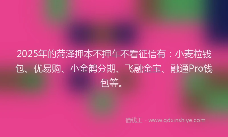 2025年的菏泽押本不押车不看征信有：小麦粒钱包、优易购、小金鹤分期、飞融金宝、融通Pro钱包等。