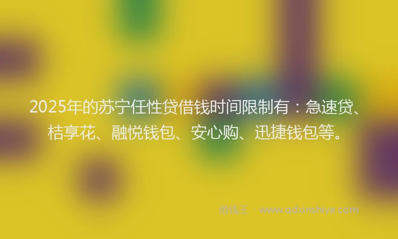 2025年的苏宁任性贷借钱时间限制有：急速贷、桔享花、融悦钱包、安心购、迅捷钱包等。