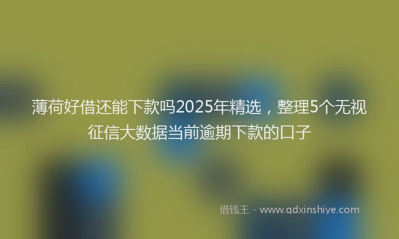 薄荷好借还能下款吗2025年精选，整理5个无视征信大数据当前逾期下款的口子