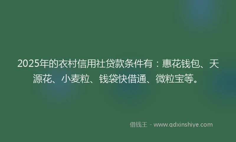 2025年的衣村信用社贷款条件有：惠花钱包、天源花、小麦粒、钱袋快借通、微粒宝等。