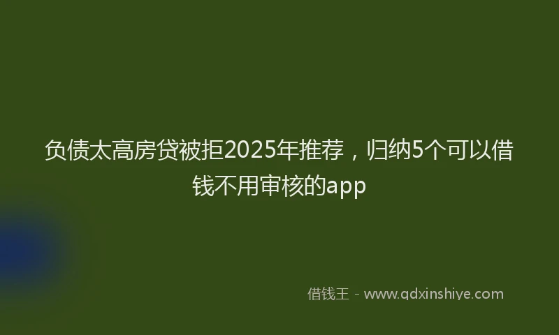 负债太高房贷被拒2025年推荐，归纳5个可以借钱不用审核的app