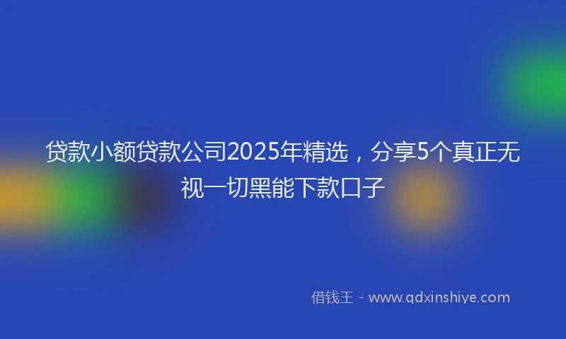贷款小额贷款公司2025年精选，分享5个真正无视一切黑能下款口子
