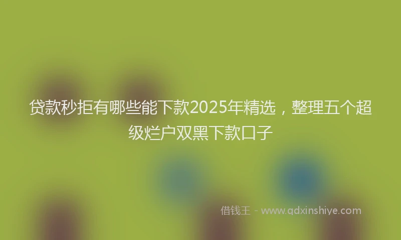 贷款秒拒有哪些能下款2025年精选，整理五个超级烂户双黑下款口子
