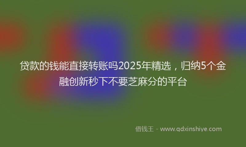 贷款的钱能直接转账吗2025年精选，归纳5个金融创新秒下不要芝麻分的平台
