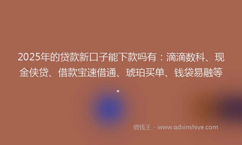 2025年的贷款新口子能下款吗有：滴滴数科、现金侠贷、借款宝速借通、琥珀买单、钱袋易融等。