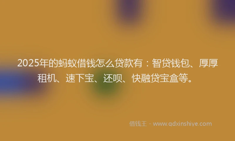 2025年的蚂蚁借钱怎么贷款有：智贷钱包、厚厚租机、速下宝、还呗、快融贷宝盒等。
