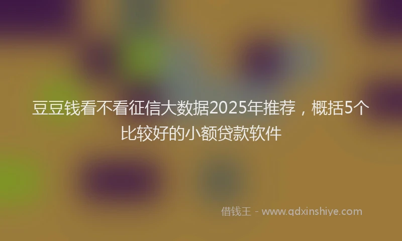 豆豆钱看不看征信大数据2025年推荐，概括5个比较好的小额贷款软件