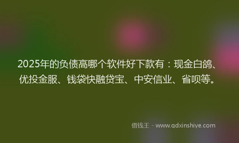 2025年的负债高哪个软件好下款有：现金白鸽、优投金服、钱袋快融贷宝、中安信业、省呗等。