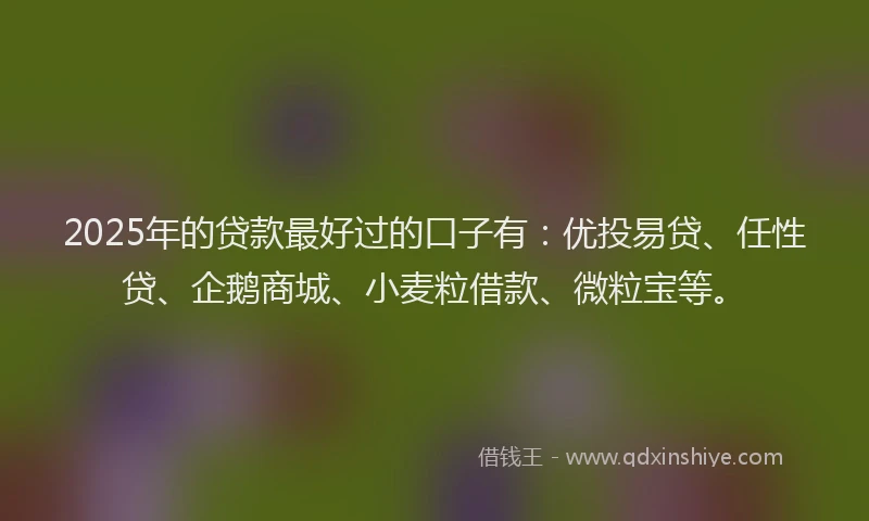 2025年的贷款最好过的口子有：优投易贷、任性贷、企鹅商城、小麦粒借款、微粒宝等。