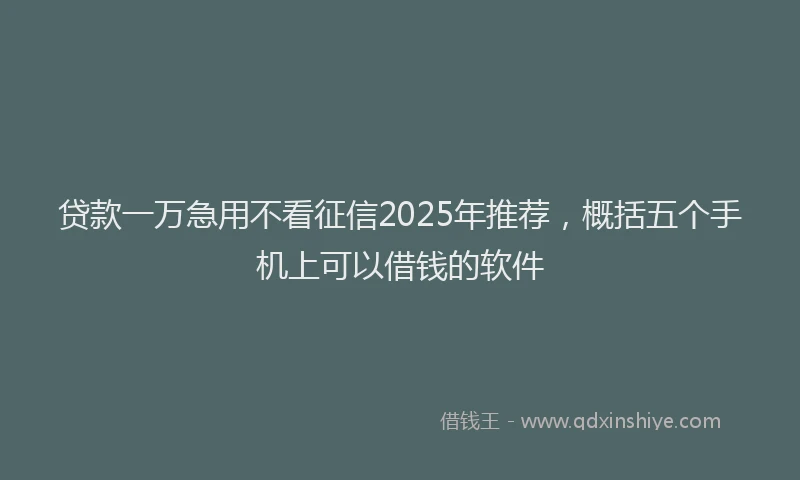 贷款一万急用不看征信2025年推荐，概括五个手机上可以借钱的软件