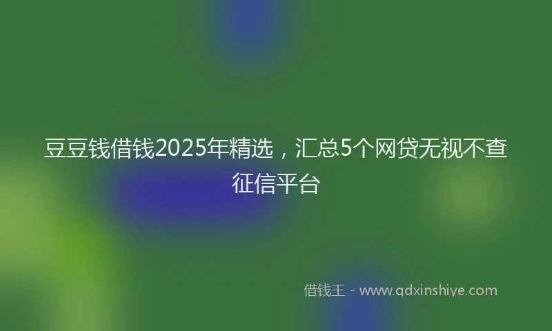 豆豆钱借钱2025年精选，汇总5个网贷无视不查征信平台