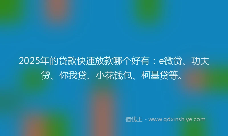 2025年的贷款快速放款哪个好有：e微贷、功夫贷、你我贷、小花钱包、柯基贷等。