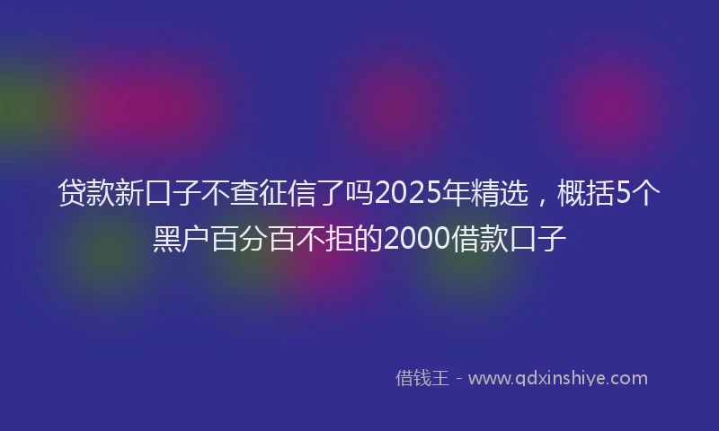 贷款新口子不查征信了吗2025年精选，概括5个黑户百分百不拒的2000借款口子