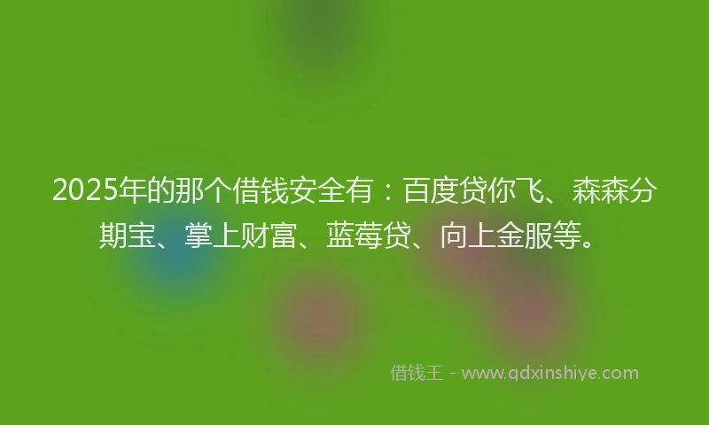 2025年的那个借钱安全有：百度贷你飞、森森分期宝、掌上财富、蓝莓贷、向上金服等。