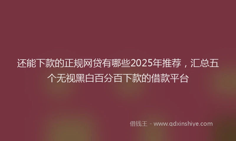 还能下款的正规网贷有哪些2025年推荐，汇总五个无视黑白百分百下款的借款平台