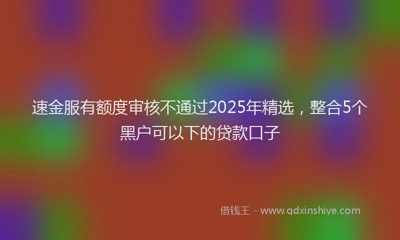 速金服有额度审核不通过2025年精选，整合5个黑户可以下的贷款口子