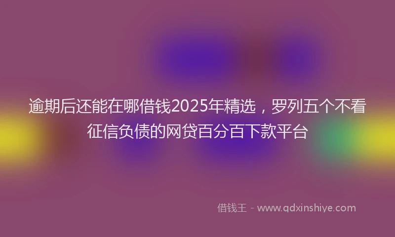 逾期后还能在哪借钱2025年精选，罗列五个不看征信负债的网贷百分百下款平台