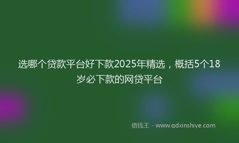 选哪个贷款平台好下款2025年精选，概括5个18岁必下款的网贷平台
