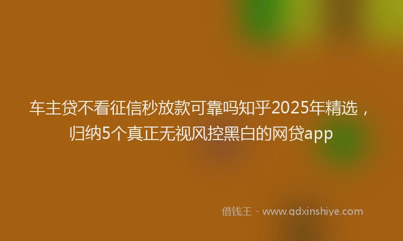 车主贷不看征信秒放款可靠吗知乎2025年精选，归纳5个真正无视风控黑白的网贷app