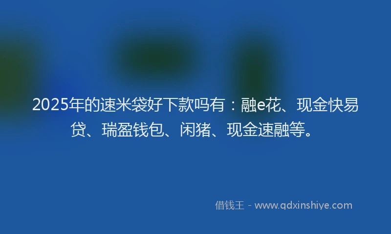 2025年的速米袋好下款吗有：融e花、现金快易贷、瑞盈钱包、闲猪、现金速融等。