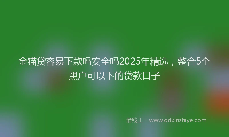金猫贷容易下款吗安全吗2025年精选，整合5个黑户可以下的贷款口子