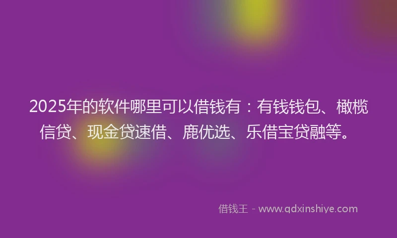 2025年的软件哪里可以借钱有：有钱钱包、橄榄信贷、现金贷速借、鹿优选、乐借宝贷融等。