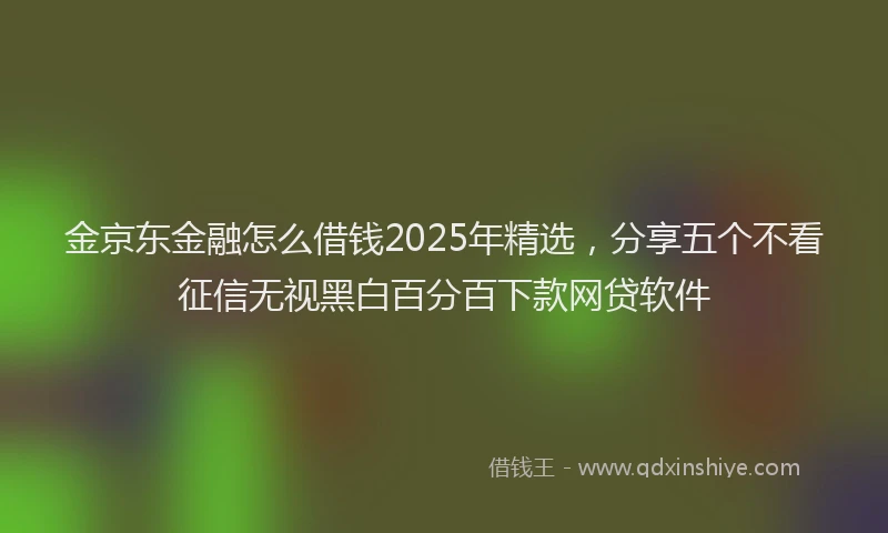 金京东金融怎么借钱2025年精选，分享五个不看征信无视黑白百分百下款网贷软件