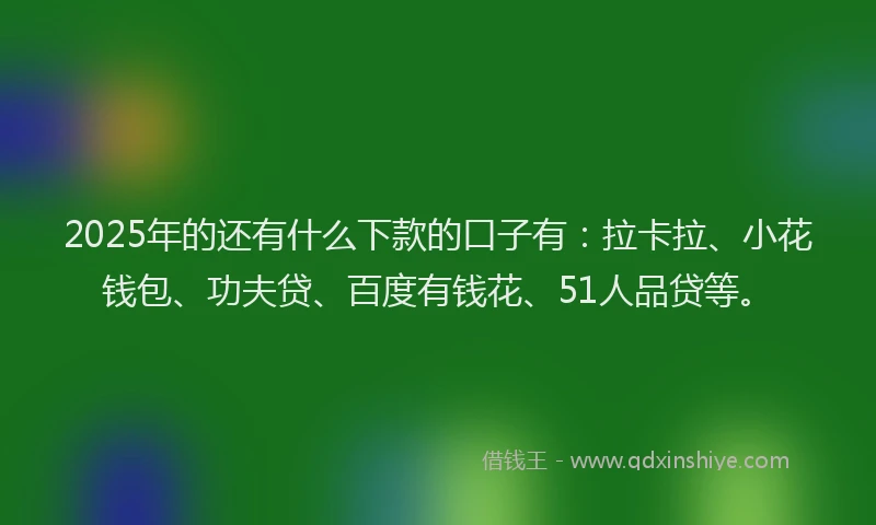 2025年的还有什么下款的口子有：拉卡拉、小花钱包、功夫贷、百度有钱花、51人品贷等。