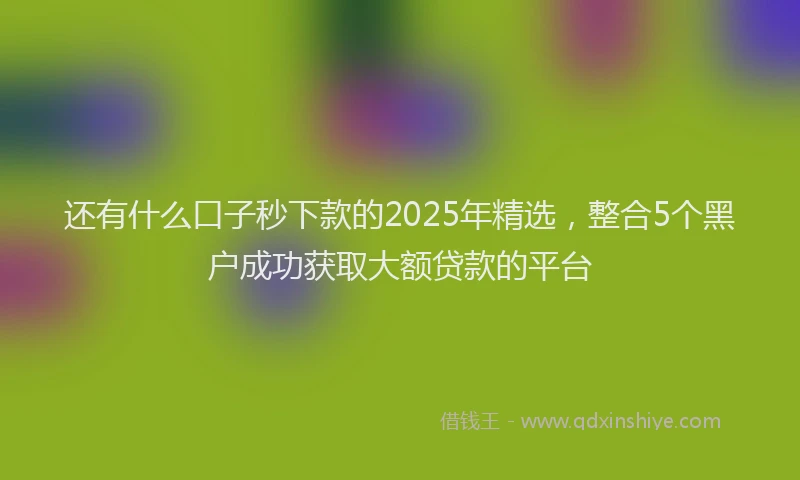 还有什么口子秒下款的2025年精选，整合5个黑户成功获取大额贷款的平台