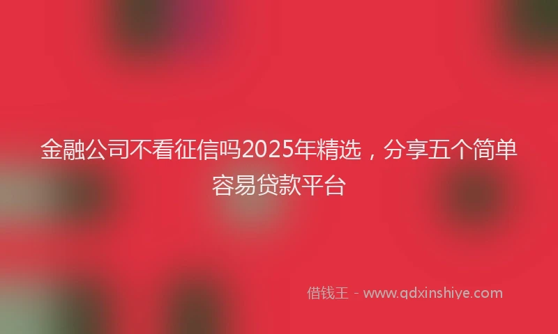 金融公司不看征信吗2025年精选，分享五个简单容易贷款平台