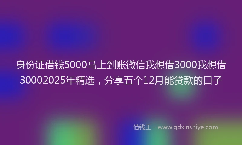 身份证借钱5000马上到账微信我想借3000我想借30002025年精选，分享五个12月能贷款的口子