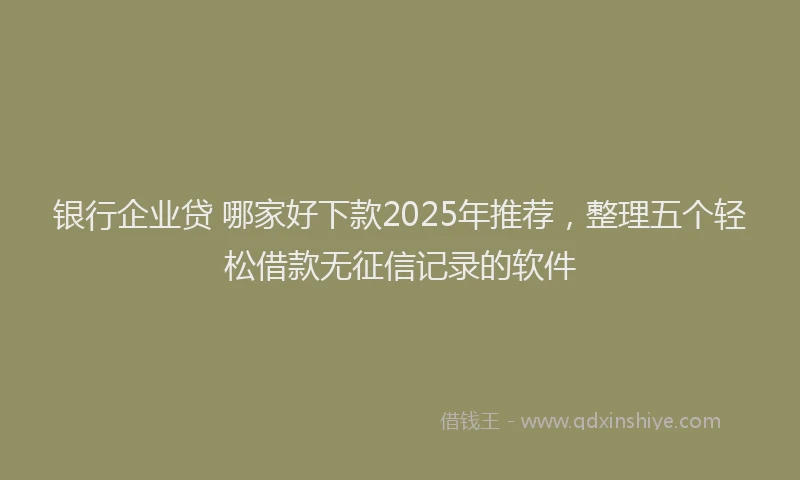 银行企业贷 哪家好下款2025年推荐，整理五个轻松借款无征信记录的软件