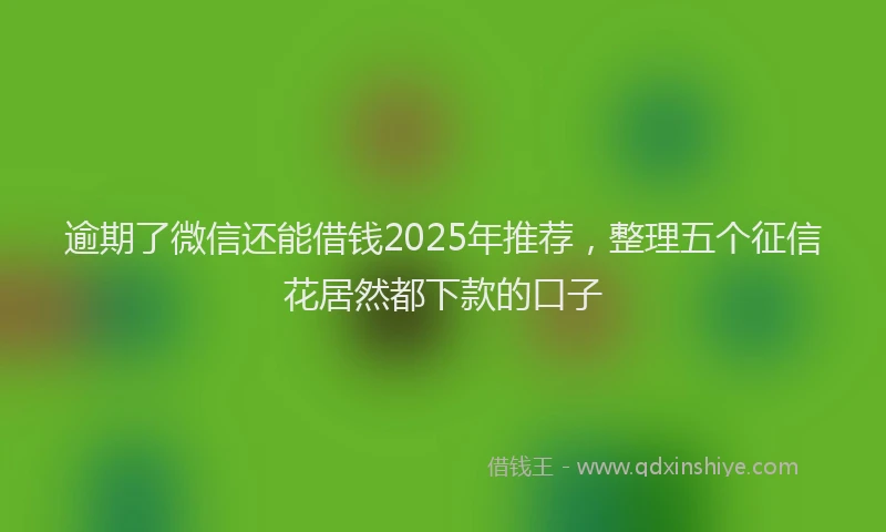 逾期了微信还能借钱2025年推荐，整理五个征信花居然都下款的口子
