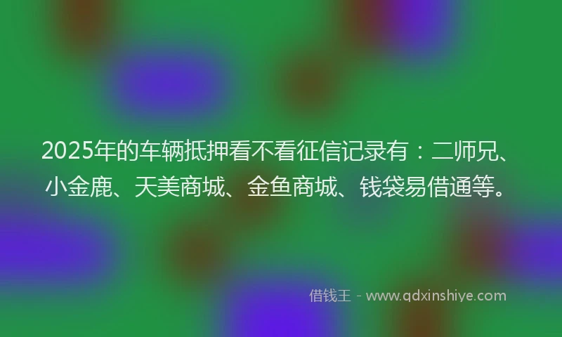 2025年的车辆抵押看不看征信记录有：二师兄、小金鹿、天美商城、金鱼商城、钱袋易借通等。