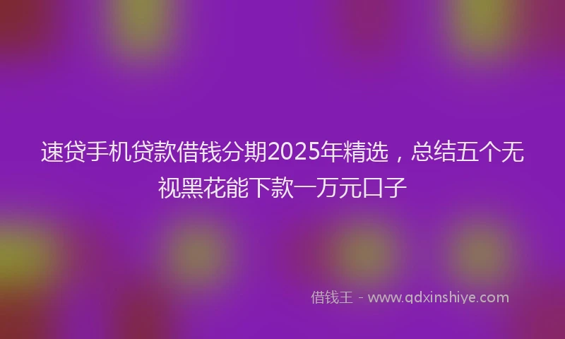 速贷手机贷款借钱分期2025年精选，总结五个无视黑花能下款一万元口子