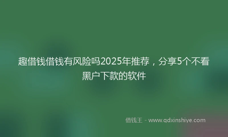 趣借钱借钱有风险吗2025年推荐，分享5个不看黑户下款的软件
