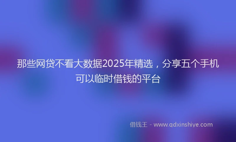 那些网贷不看大数据2025年精选，分享五个手机可以临时借钱的平台