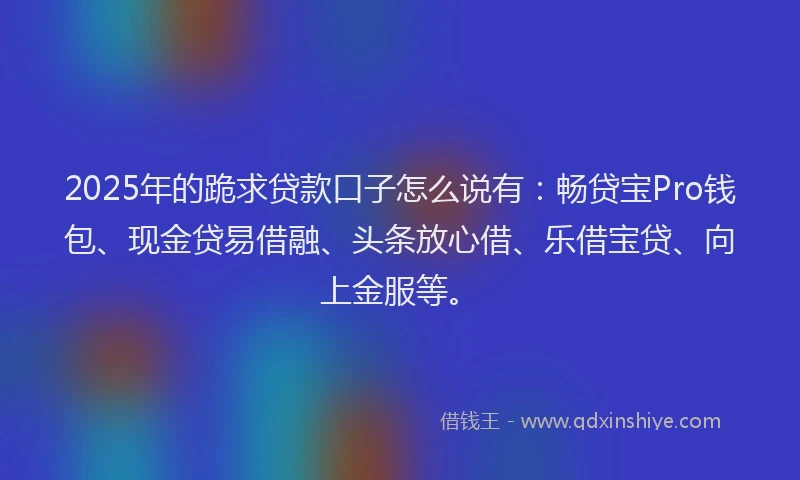 2025年的跪求贷款口子怎么说有：畅贷宝Pro钱包、现金贷易借融、头条放心借、乐借宝贷、向上金服等。