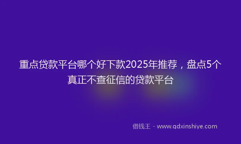 重点贷款平台哪个好下款2025年推荐，盘点5个真正不查征信的贷款平台