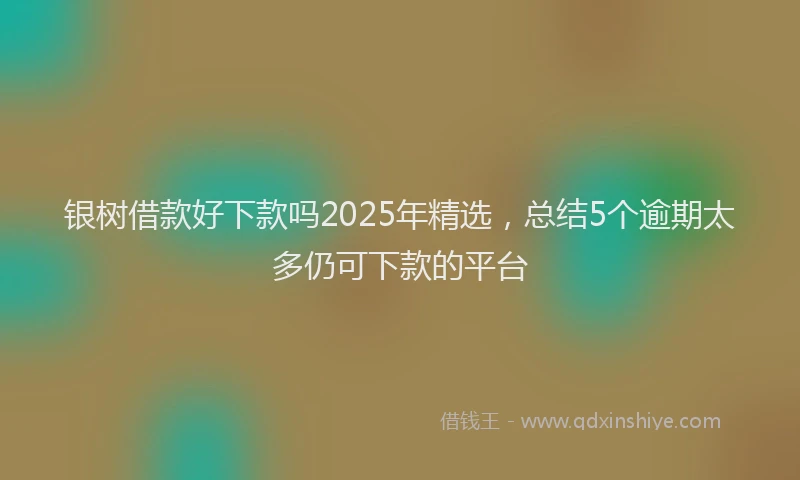 银树借款好下款吗2025年精选，总结5个逾期太多仍可下款的平台