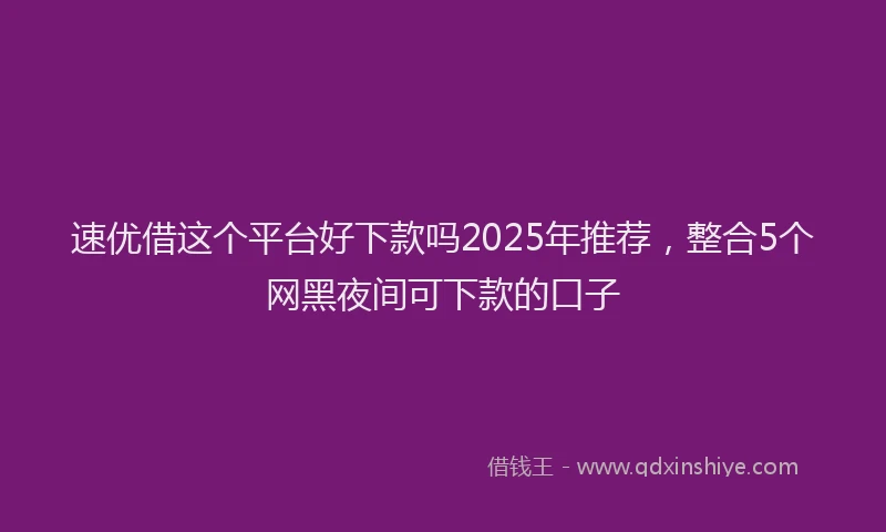 速优借这个平台好下款吗2025年推荐，整合5个网黑夜间可下款的口子