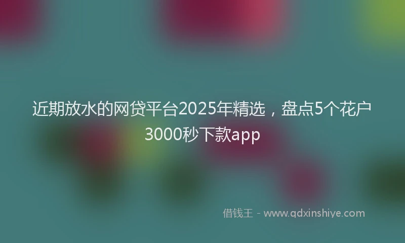 近期放水的网贷平台2025年精选，盘点5个花户3000秒下款app