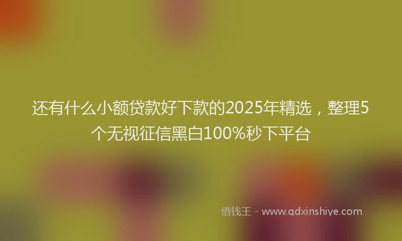 还有什么小额贷款好下款的2025年精选，整理5个无视征信黑白100%秒下平台
