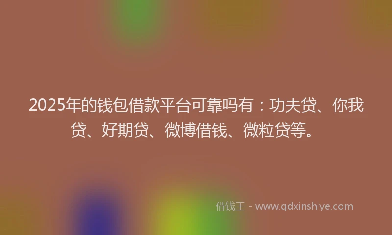 2025年的钱包借款平台可靠吗有：功夫贷、你我贷、好期贷、微博借钱、微粒贷等。