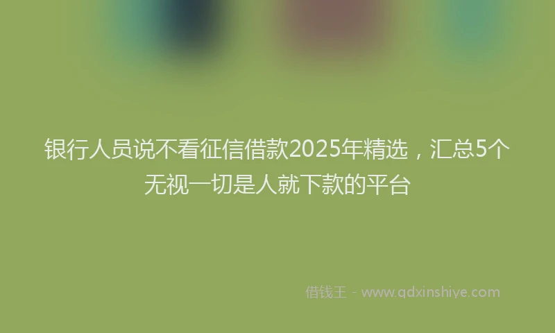 银行人员说不看征信借款2025年精选，汇总5个无视一切是人就下款的平台