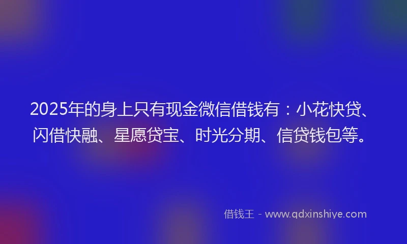 2025年的身上只有现金微信借钱有：小花快贷、闪借快融、星愿贷宝、时光分期、信贷钱包等。