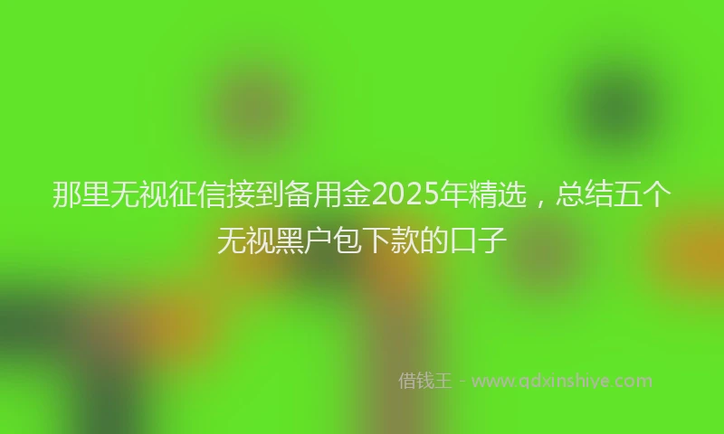 那里无视征信接到备用金2025年精选，总结五个无视黑户包下款的口子