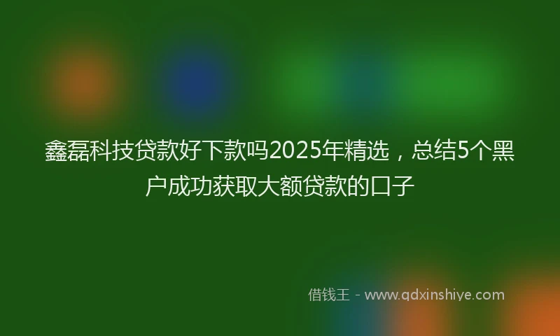 鑫磊科技贷款好下款吗2025年精选，总结5个黑户成功获取大额贷款的口子