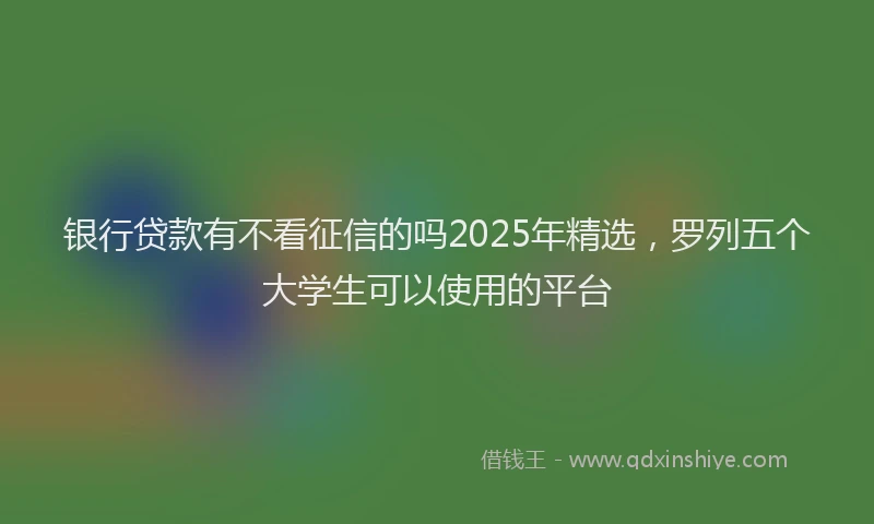银行贷款有不看征信的吗2025年精选，罗列五个大学生可以使用的平台