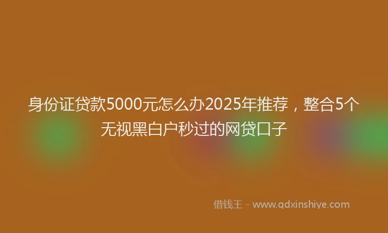 身份证贷款5000元怎么办2025年推荐，整合5个无视黑白户秒过的网贷口子